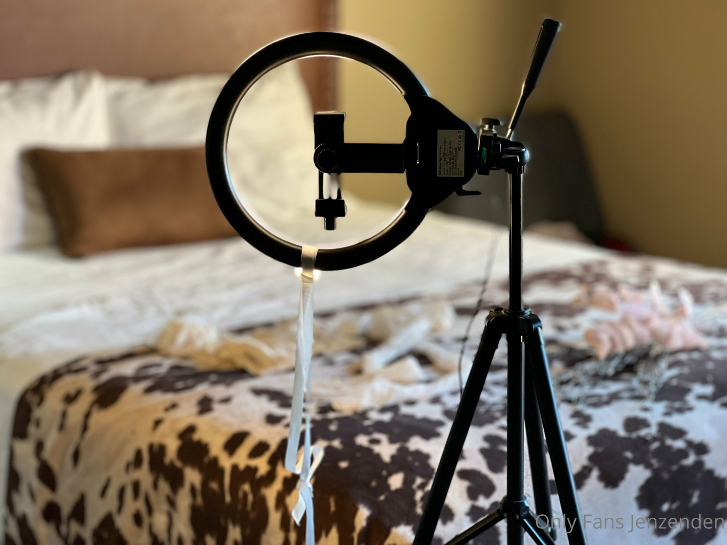 Photo by zendenjen69 published on May 15,2023 15:41:32 - BestThots