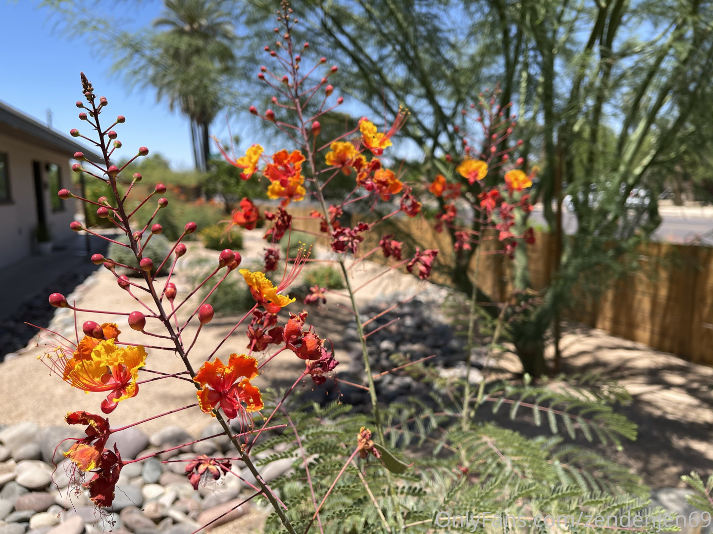 Photo by zendenjen69 published on May 15,2023 15:42:07 - BestThots