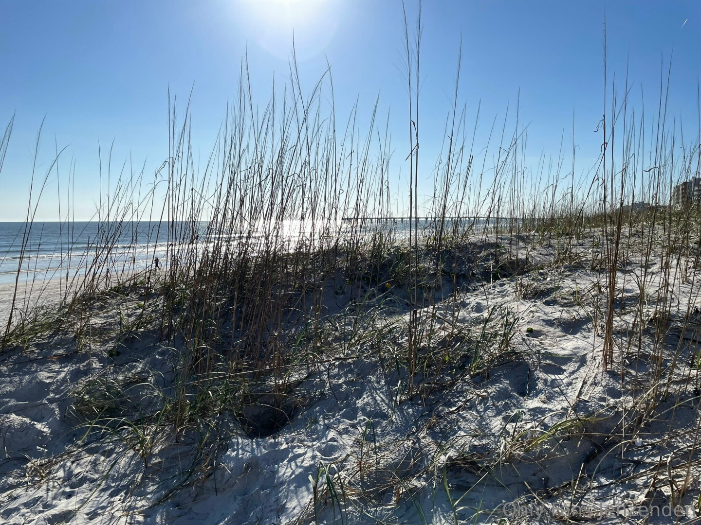 Photo by zendenjen69 published on May 15,2023 15:42:39 - BestThots