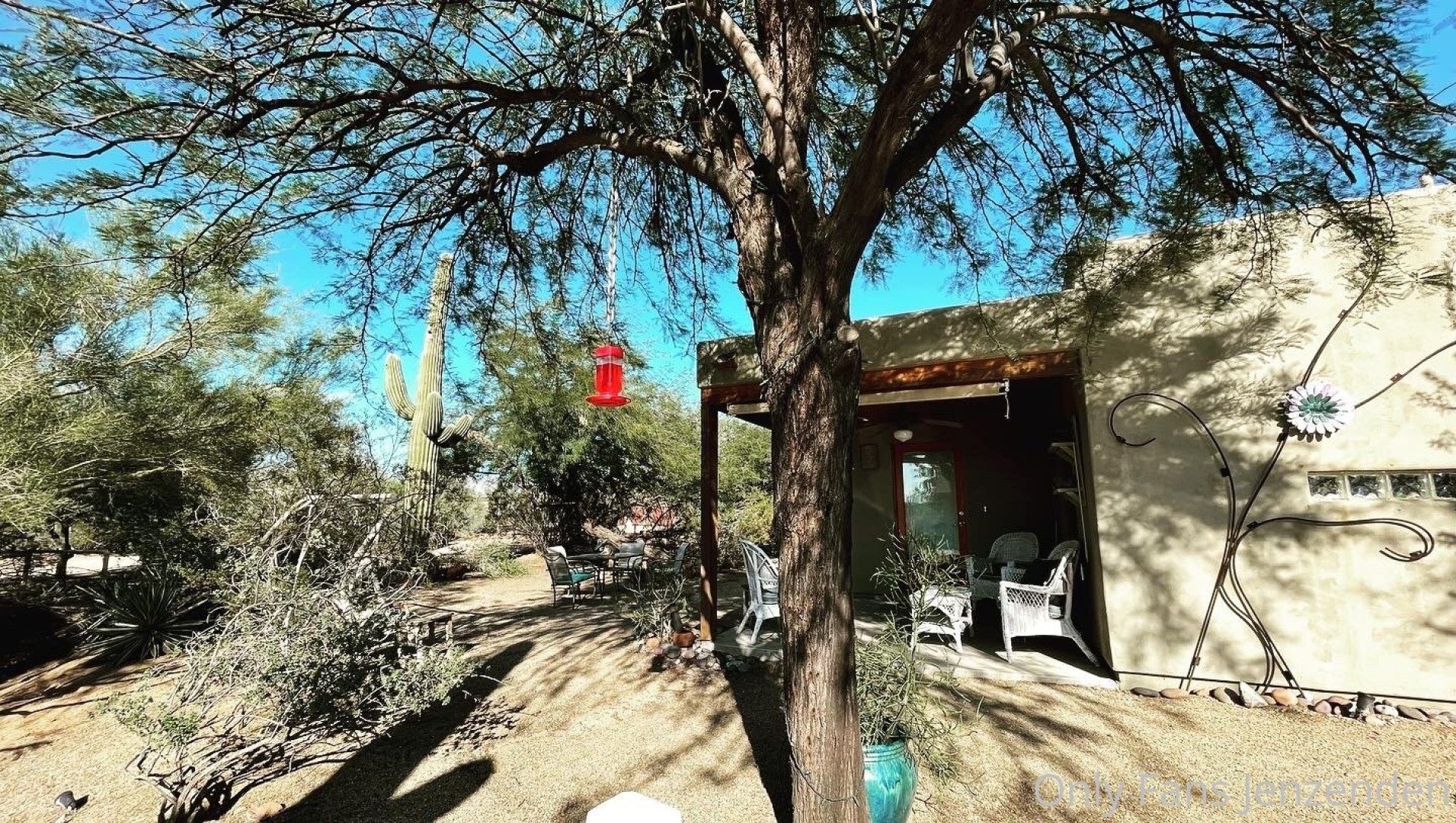 Photo by zendenjen69 published on May 15,2023 15:43:02 - BestThots