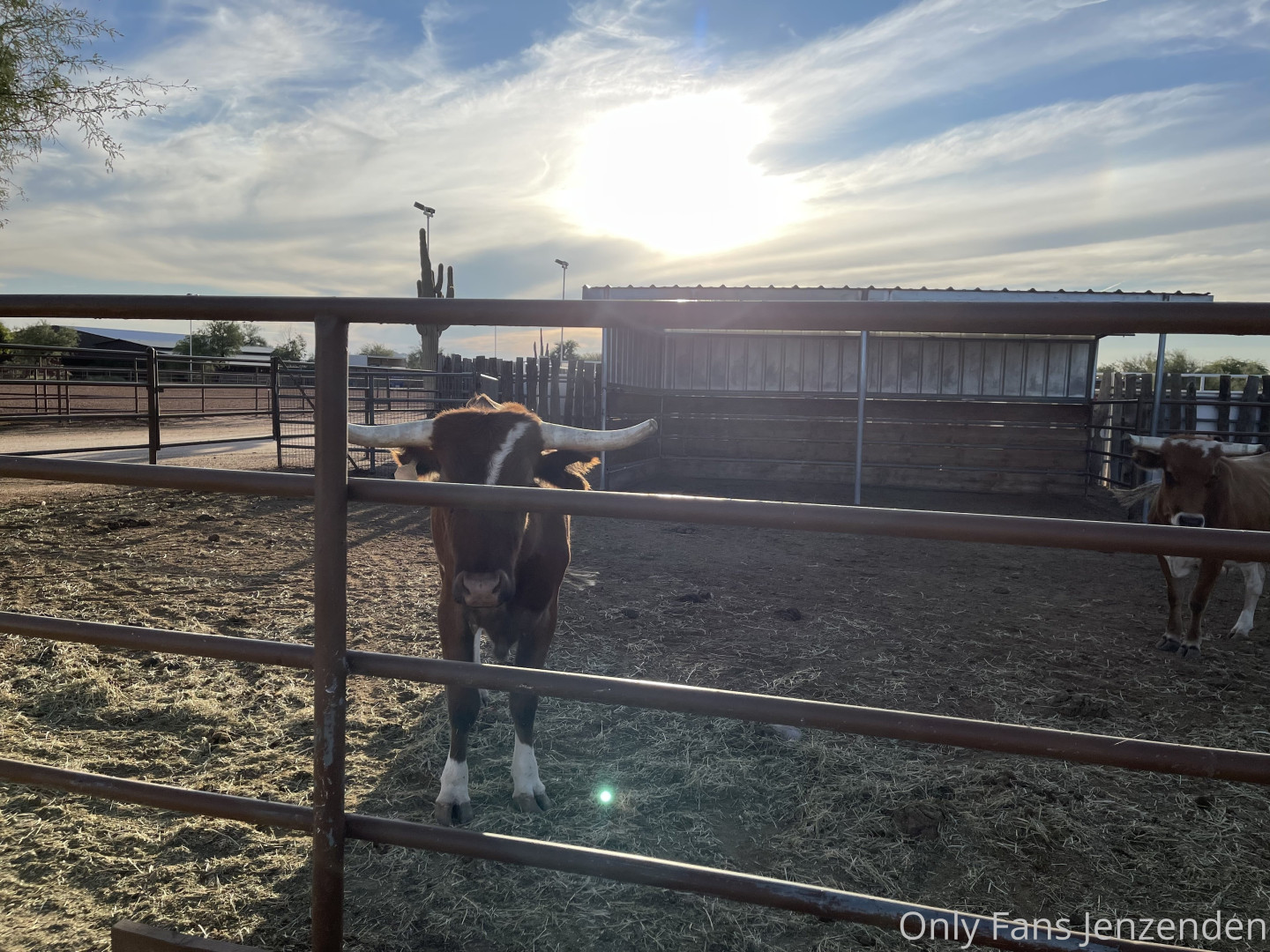 Photo by zendenjen69 published on May 15,2023 15:43:14 - BestThots