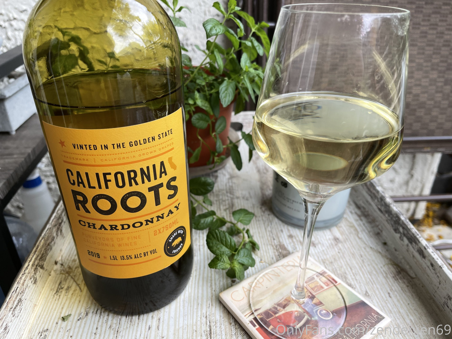 Photo by zendenjen69 published on May 15,2023 15:43:20 - BestThots