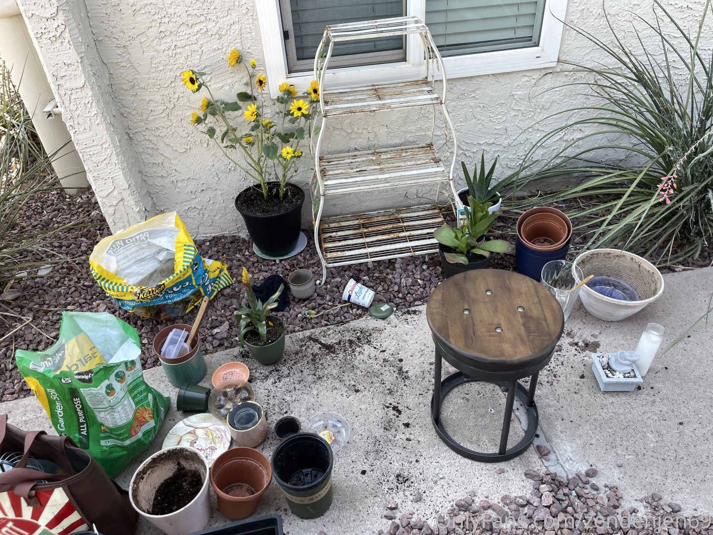 Photo by zendenjen69 published on May 15,2023 15:43:26 - BestThots