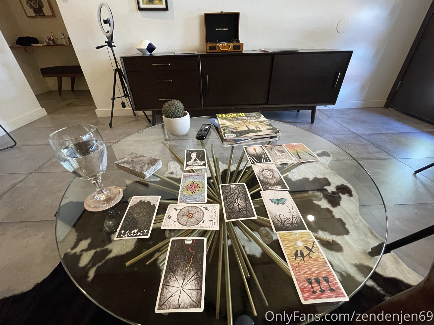 Photo by zendenjen69 published on May 15,2023 15:43:29 - BestThots