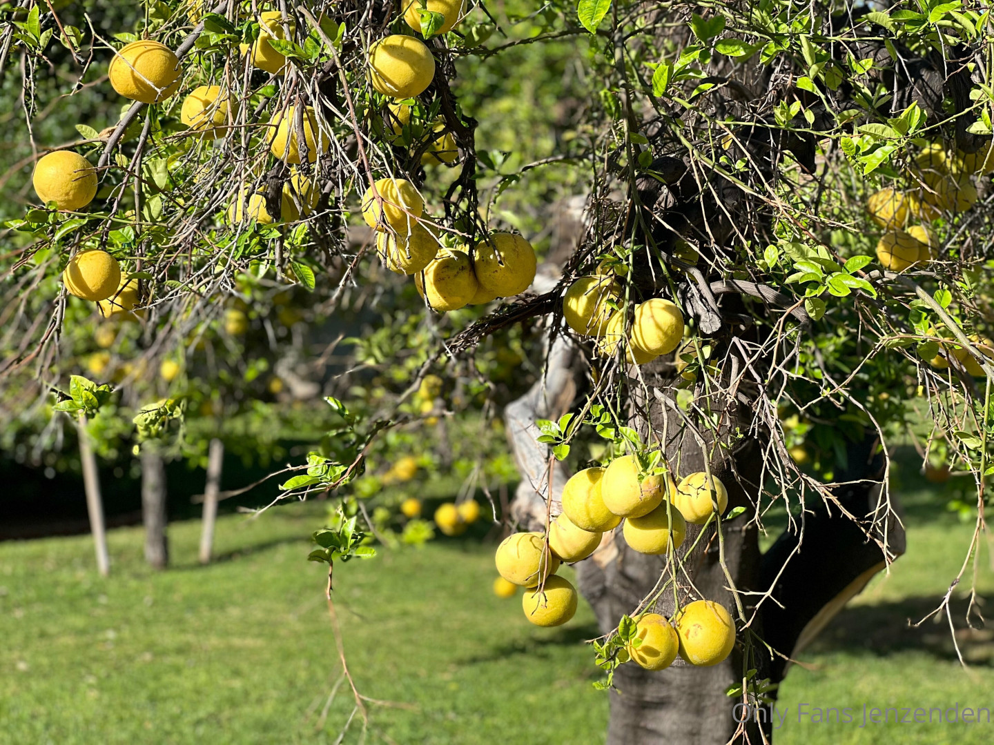 Photo by zendenjen69 published on May 15,2023 15:43:56 - BestThots