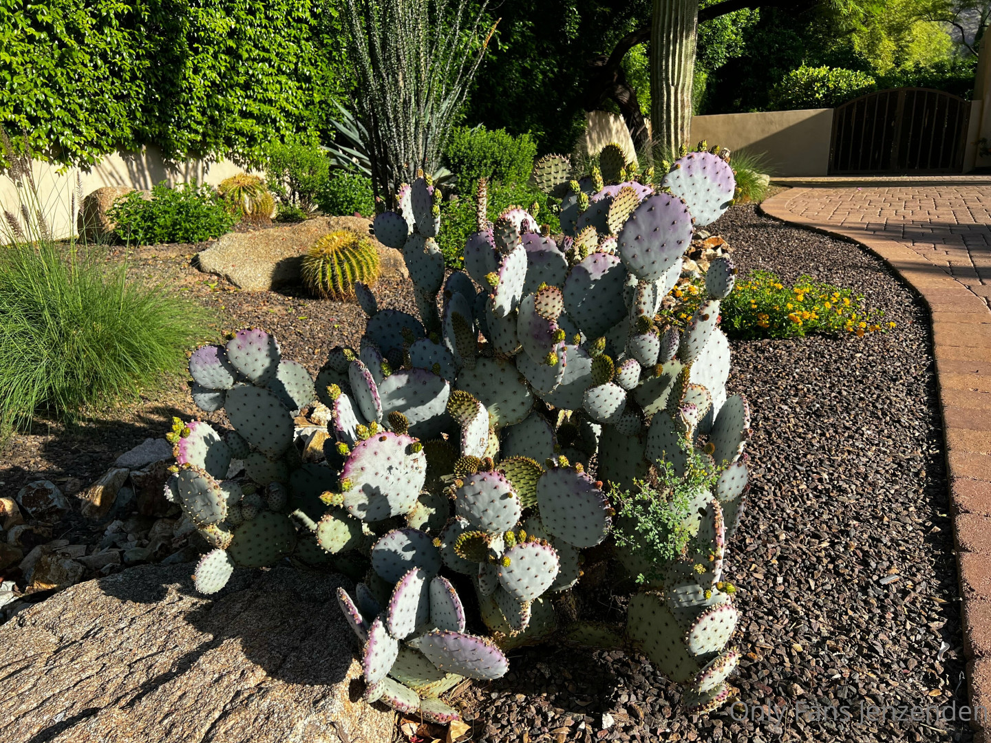 Photo by zendenjen69 published on May 15,2023 15:44:06 - BestThots