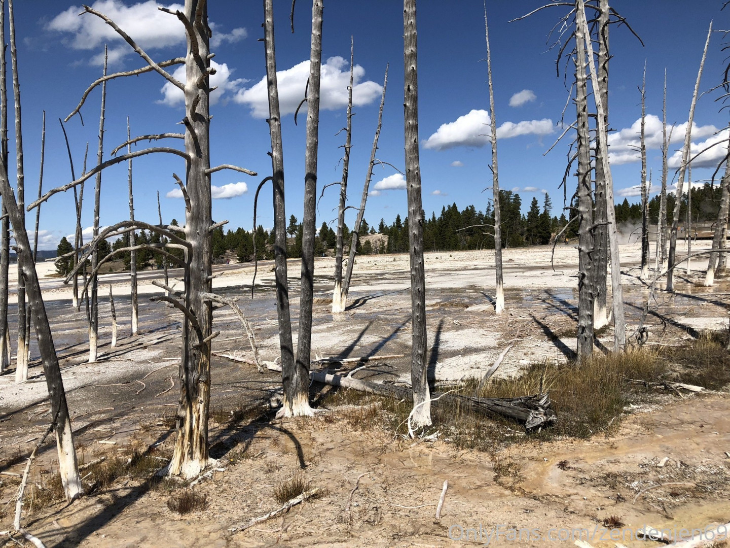 Photo by zendenjen69 published on May 15,2023 15:44:18 - BestThots