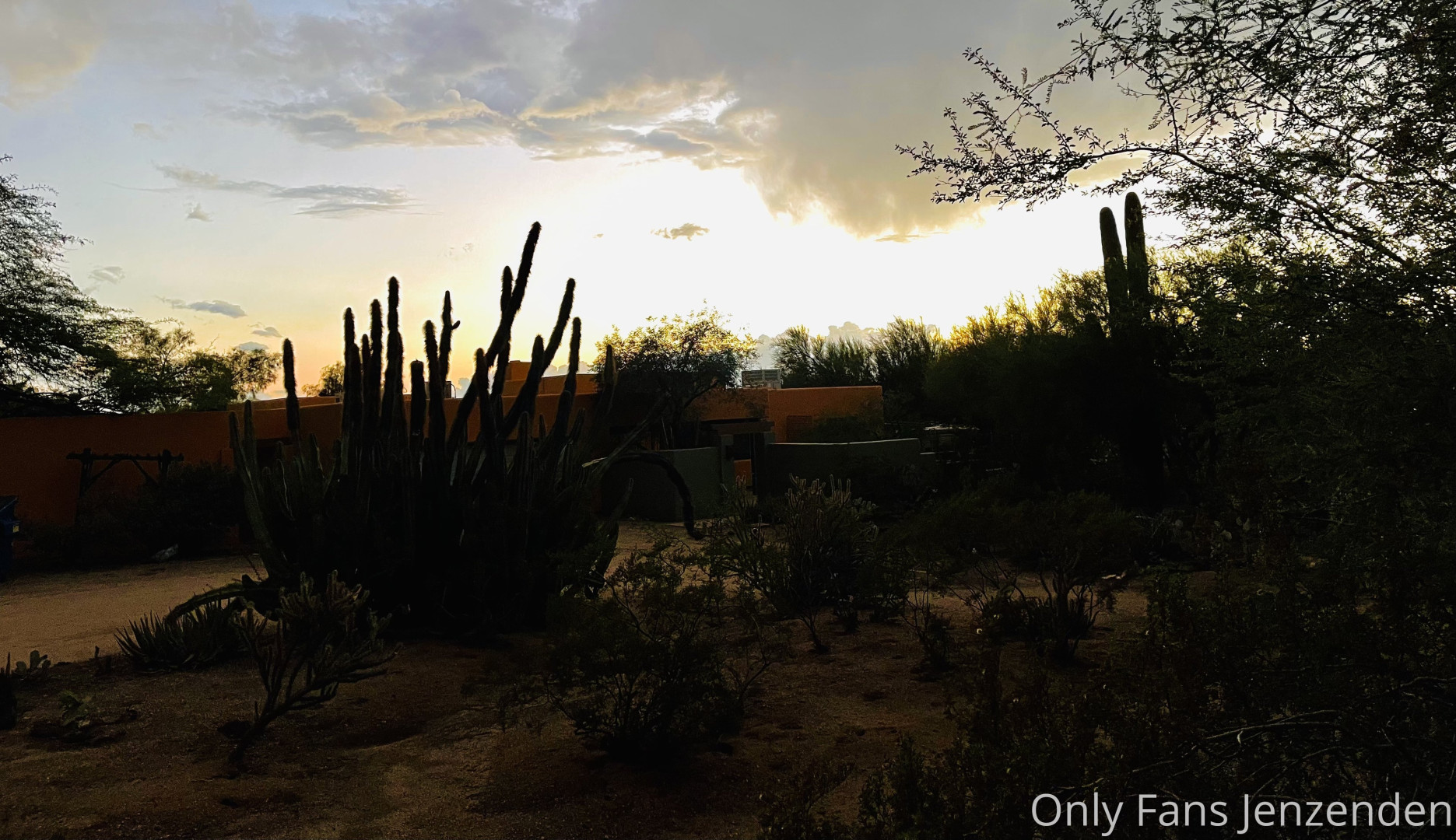 Photo by zendenjen69 published on May 15,2023 15:44:41 - BestThots