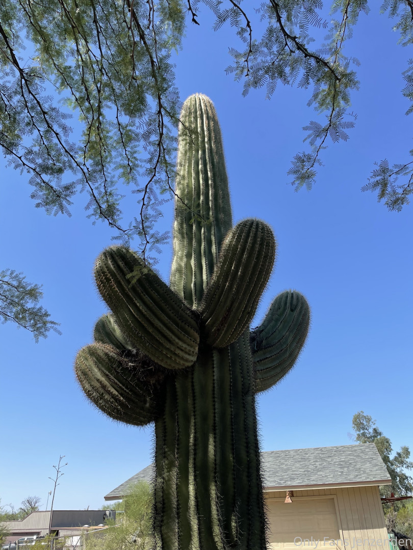 Photo by zendenjen69 published on May 15,2023 15:44:47 - BestThots