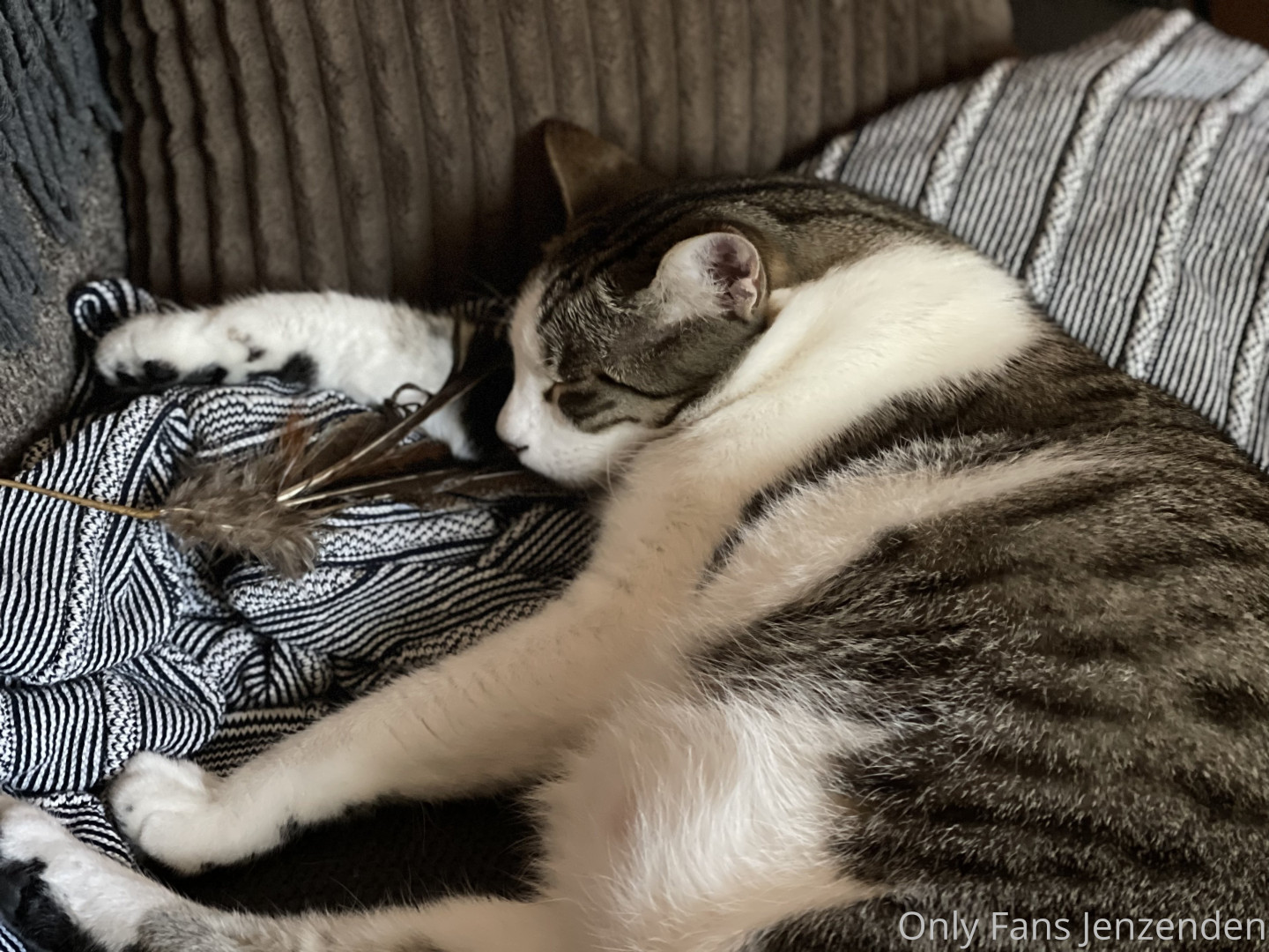 Photo by zendenjen69 published on May 15,2023 15:44:52 - BestThots