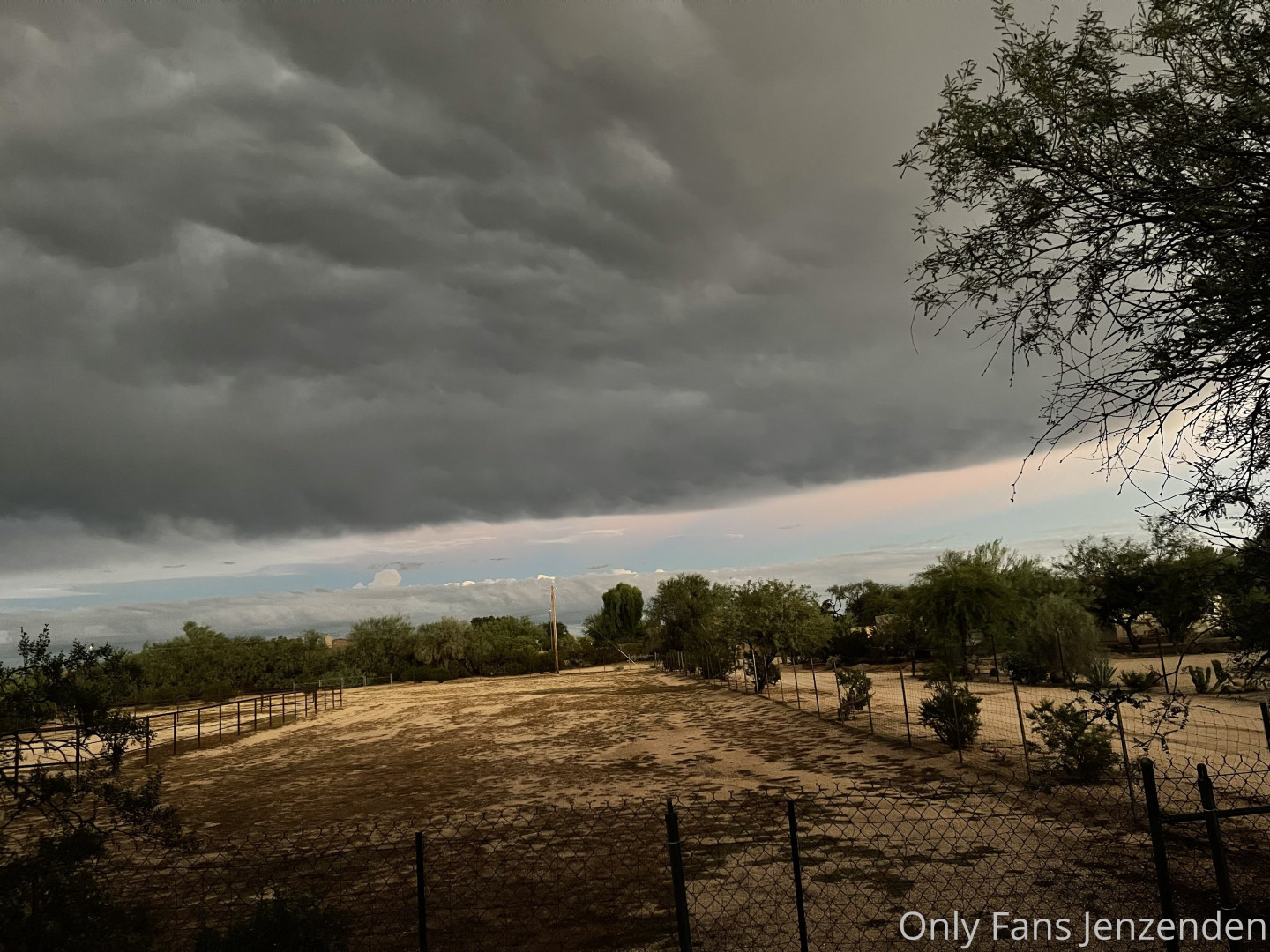 Photo by zendenjen69 published on May 15,2023 15:45:22 - BestThots