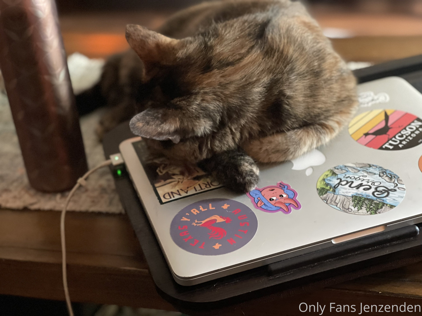 Photo by zendenjen69 published on May 15,2023 15:45:43 - BestThots