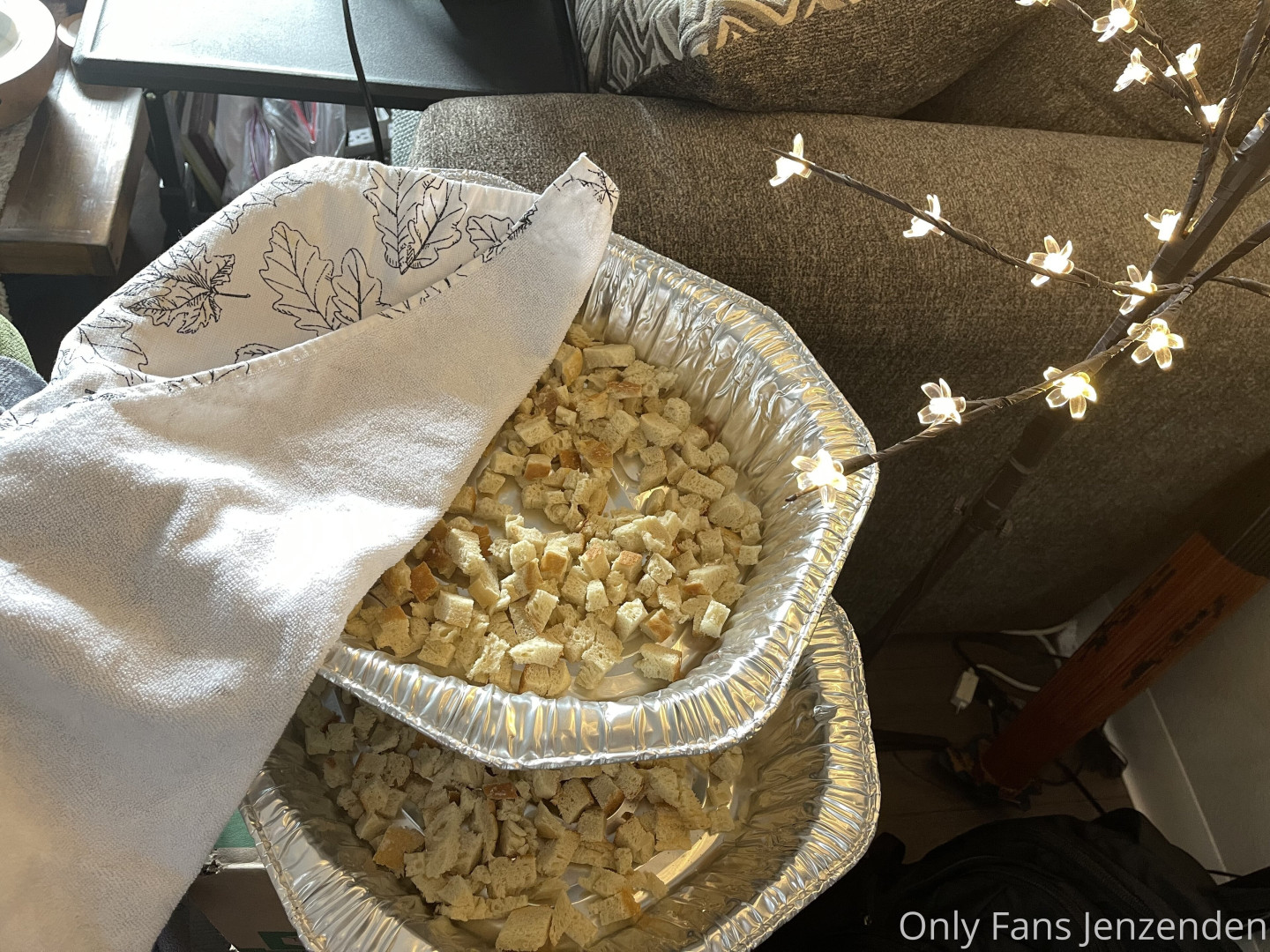 Photo by zendenjen69 published on May 15,2023 15:45:55 - BestThots