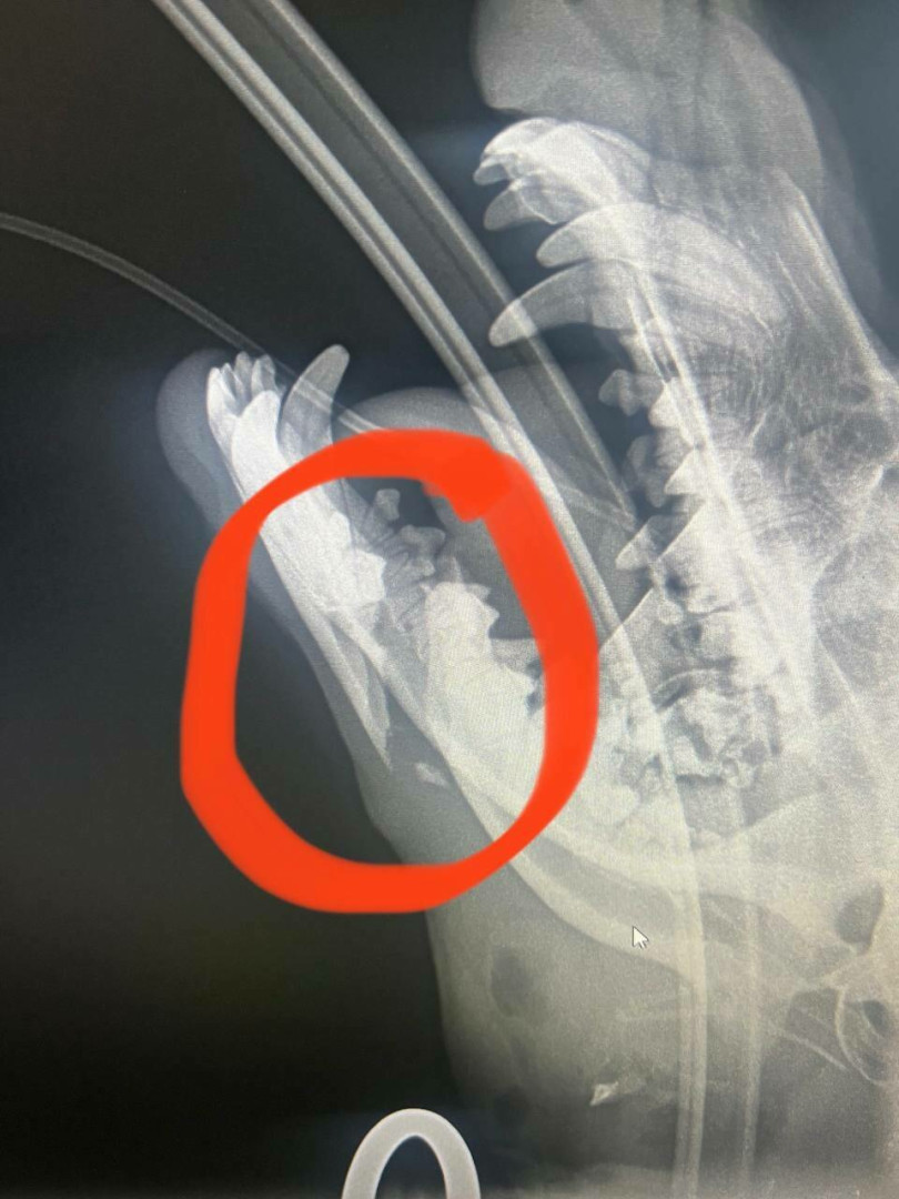 Photo by xsofiasunshine published on October 17,2023 00:14:04 - BestThots