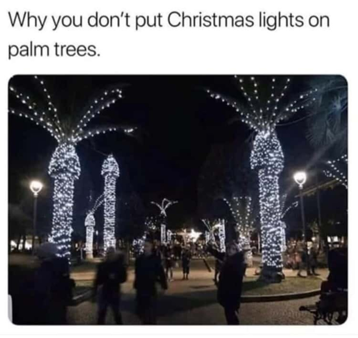 Photo by xsofiasunshine published on October 17,2023 00:40:19 - BestThots