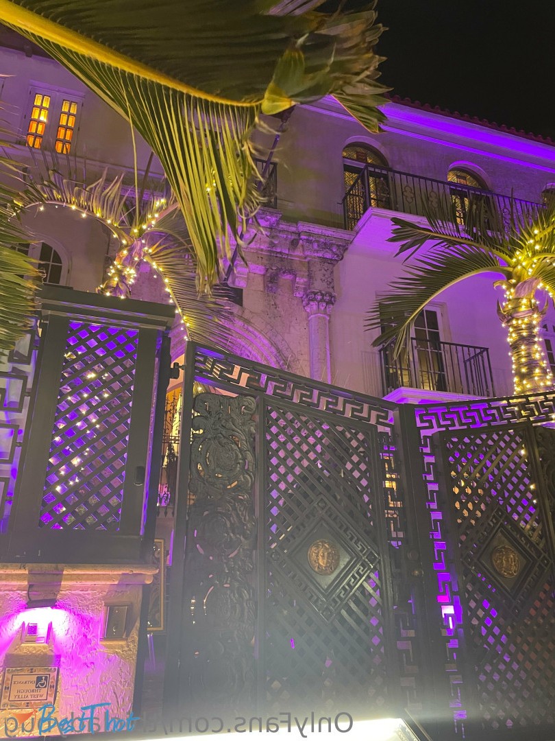 thicladybug #9434869