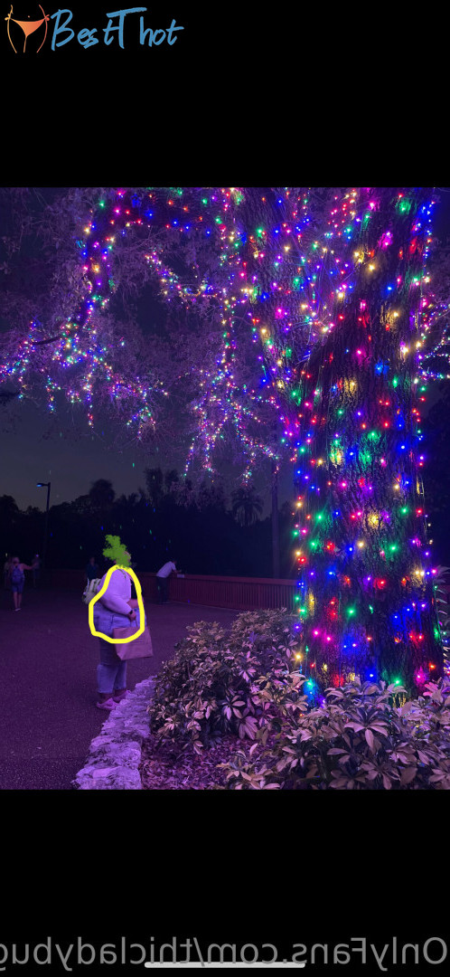 thicladybug #9434871