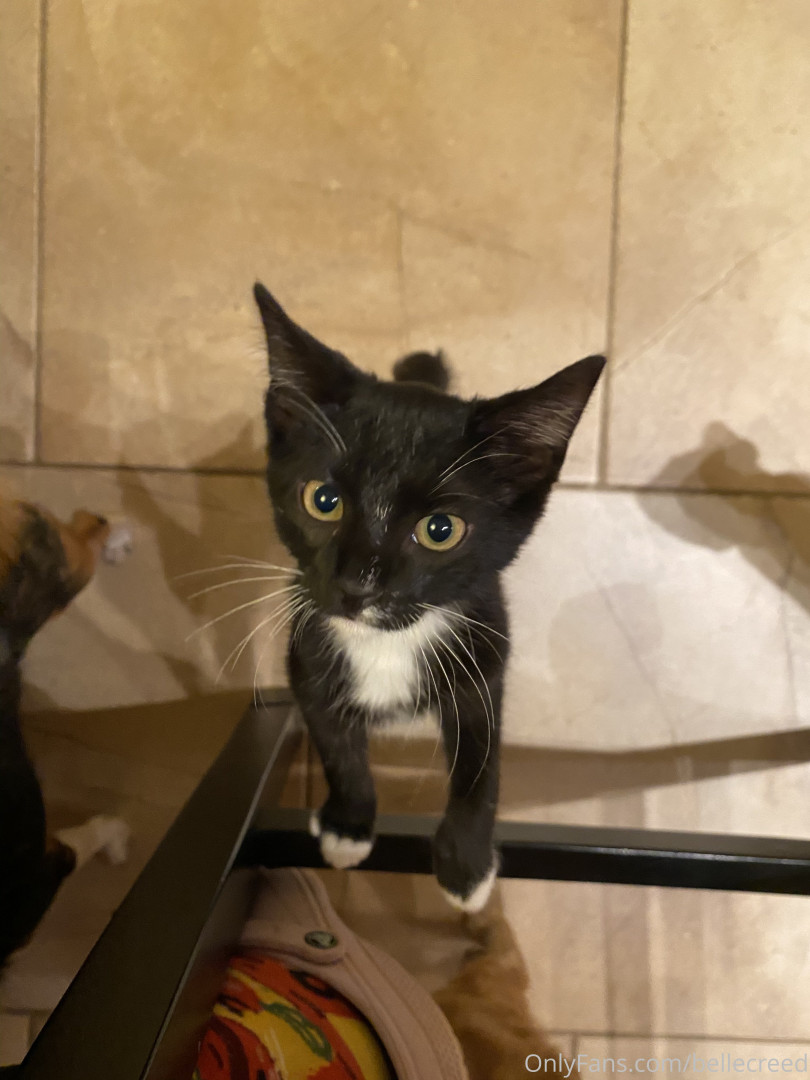 Photo by bellecreed published on December 11,2023 10:54:48 - BestThots