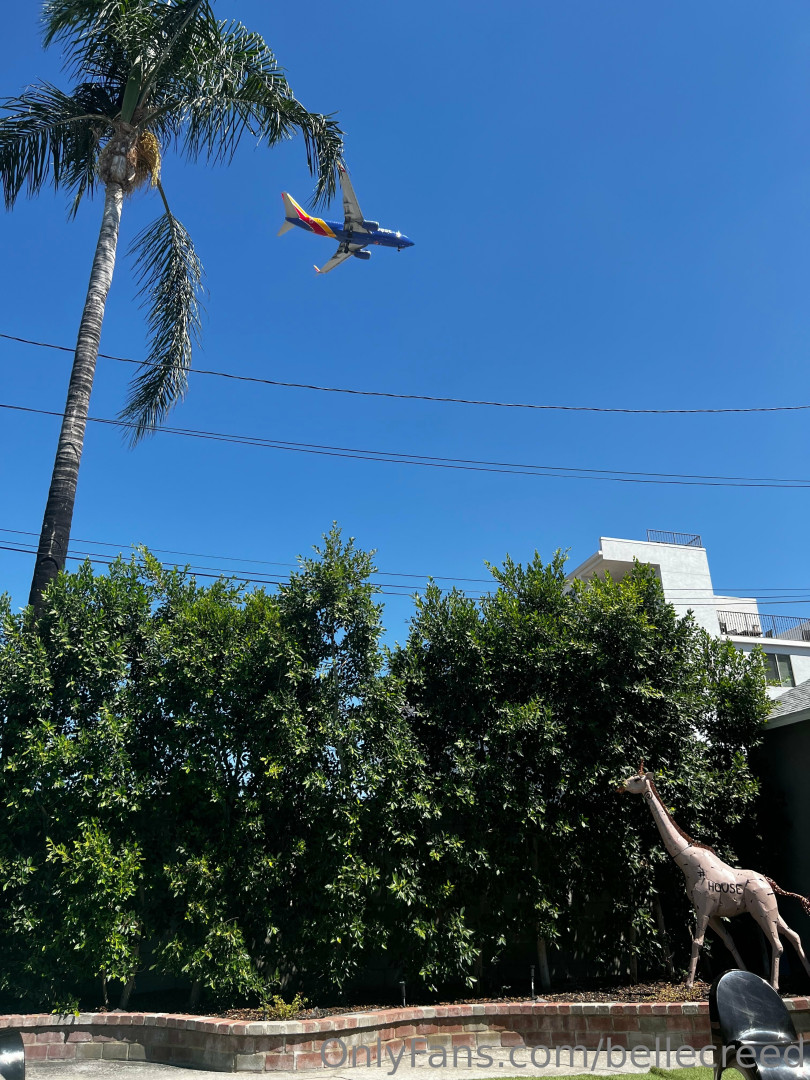 Photo by bellecreed published on December 11,2023 10:55:18 - BestThots