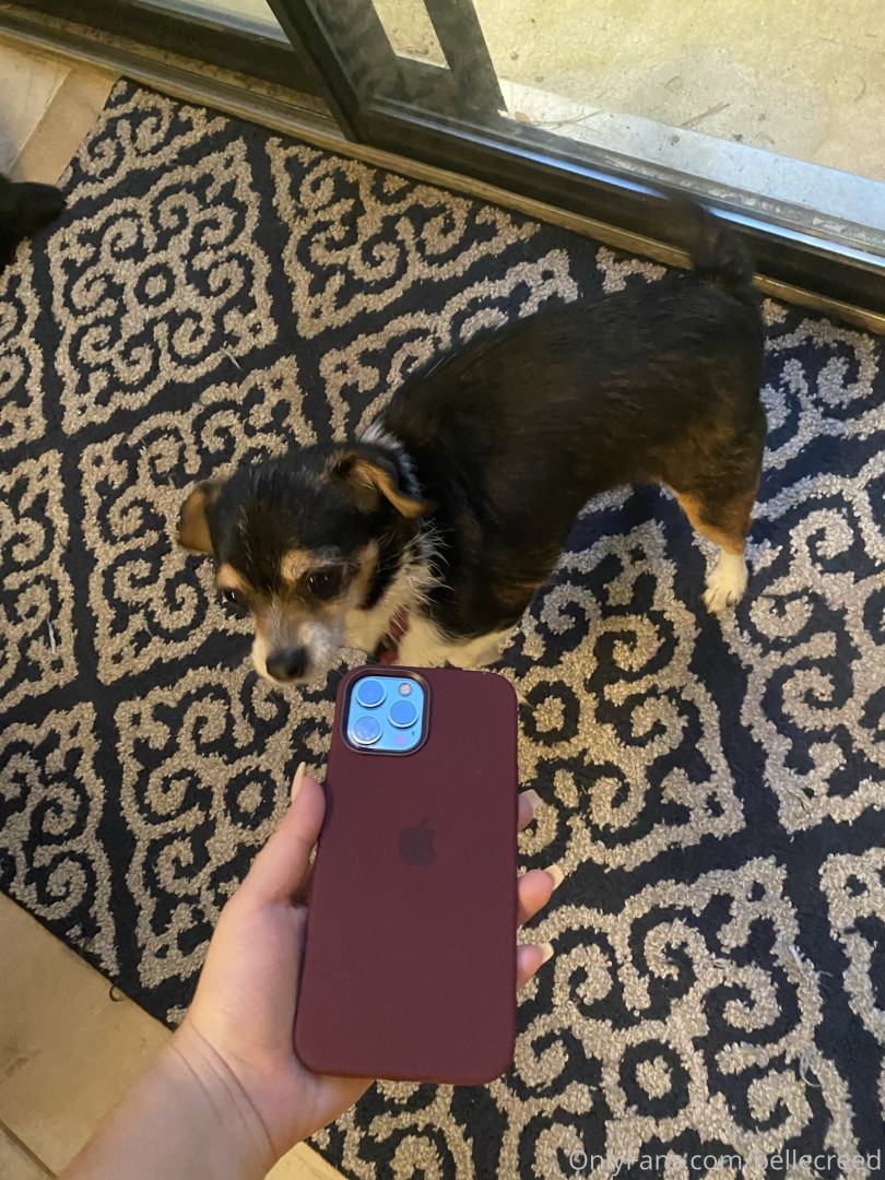 Photo by bellecreed published on December 11,2023 10:55:53 - BestThots