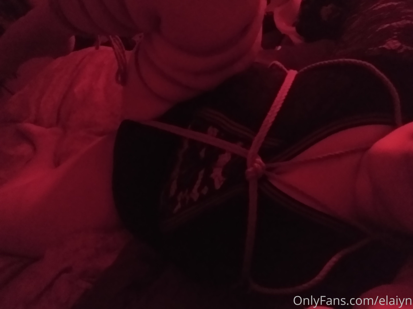 Photo by andromedaswitchfree published on October 16,2023 18:51:37 - BestThots