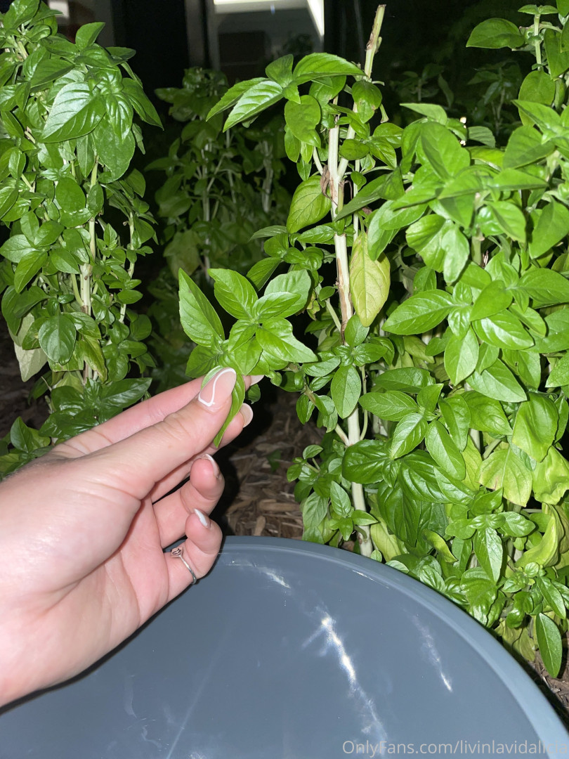 Photo by aliciashottakes published on May 31,2023 16:16:34 - BestThots