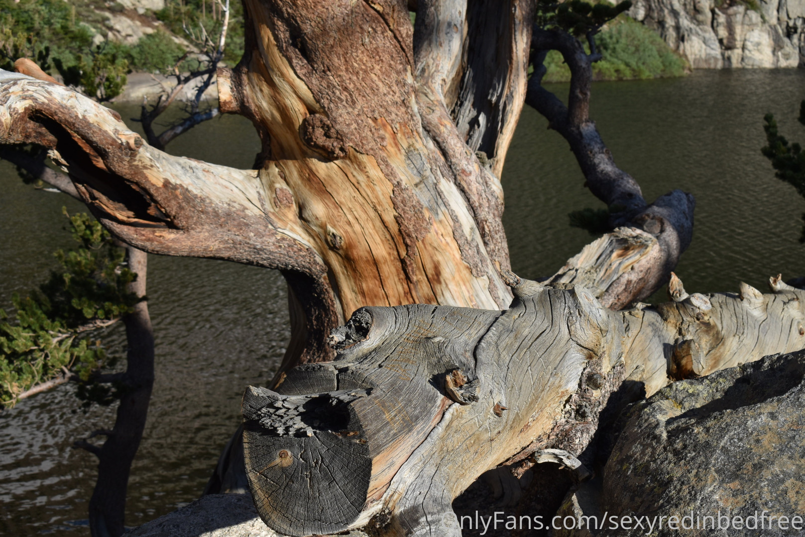 Photo by sexyredinbedfree published on June 24,2023 10:22:32 - BestThots