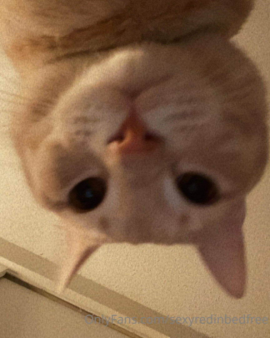 Photo by sexyredinbedfree published on June 24,2023 10:23:09 - BestThots