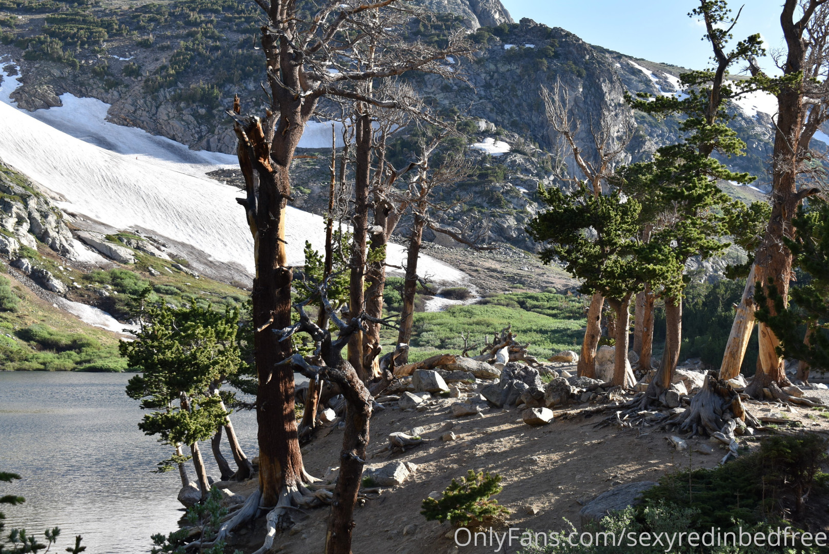 Photo by sexyredinbedfree published on June 24,2023 10:23:26 - BestThots