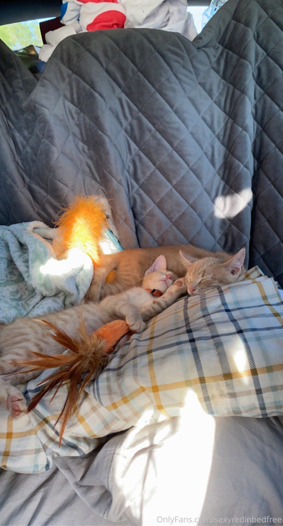 Photo by sexyredinbedfree published on June 24,2023 10:23:37 - BestThots