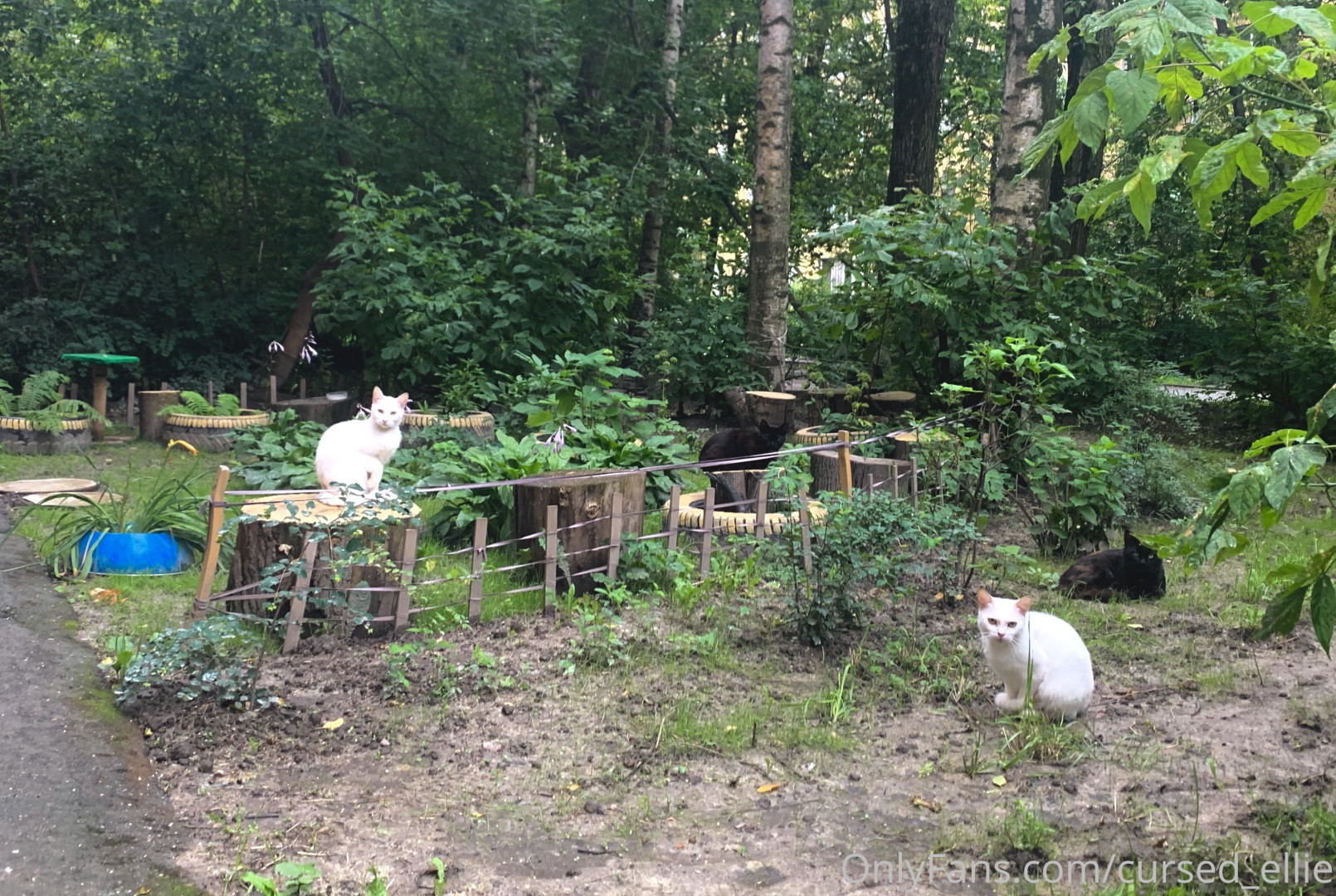 Photo by cursed_ellie published on January 11,2024 22:44:38 - BestThots