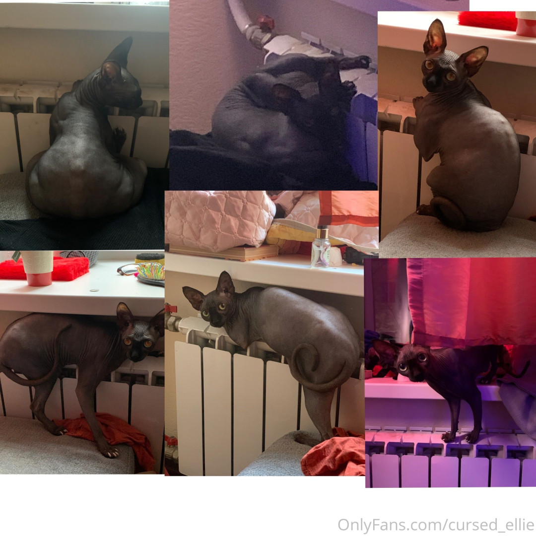 Photo by cursed_ellie published on January 11,2024 23:02:25 - BestThots