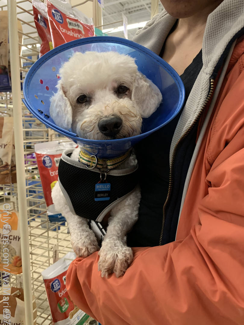 Photo by theavamariee published on July 2,2023 11:40:47 - BestThots