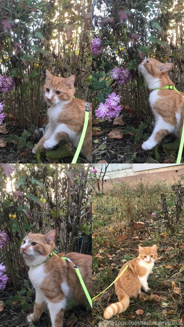 Photo by technoprincesss published on May 17,2023 07:49:06 - BestThots