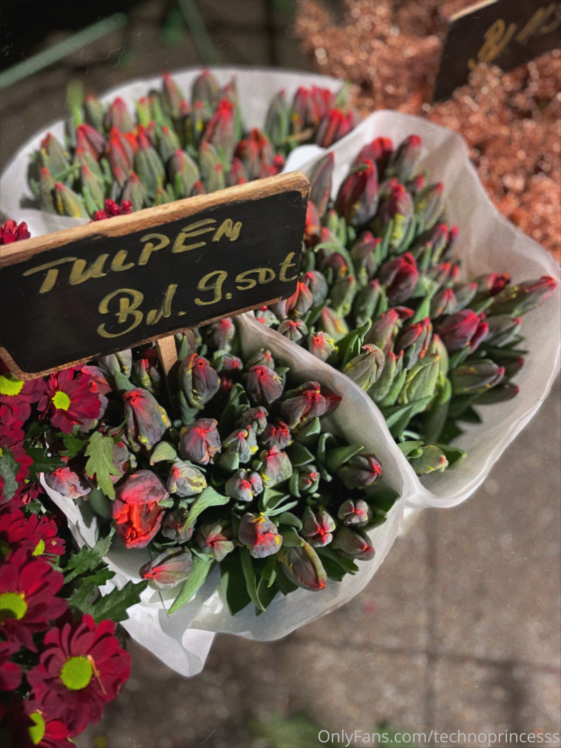 Photo by technoprincesss published on May 17,2023 07:49:55 - BestThots