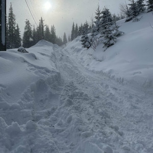 technoprincesss #141123