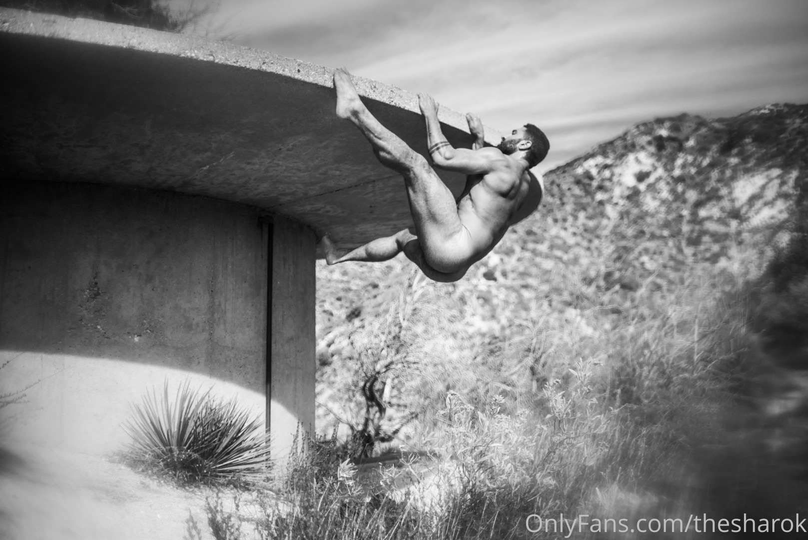 Photo by thesharok published on May 16,2023 20:17:39 - BestThots