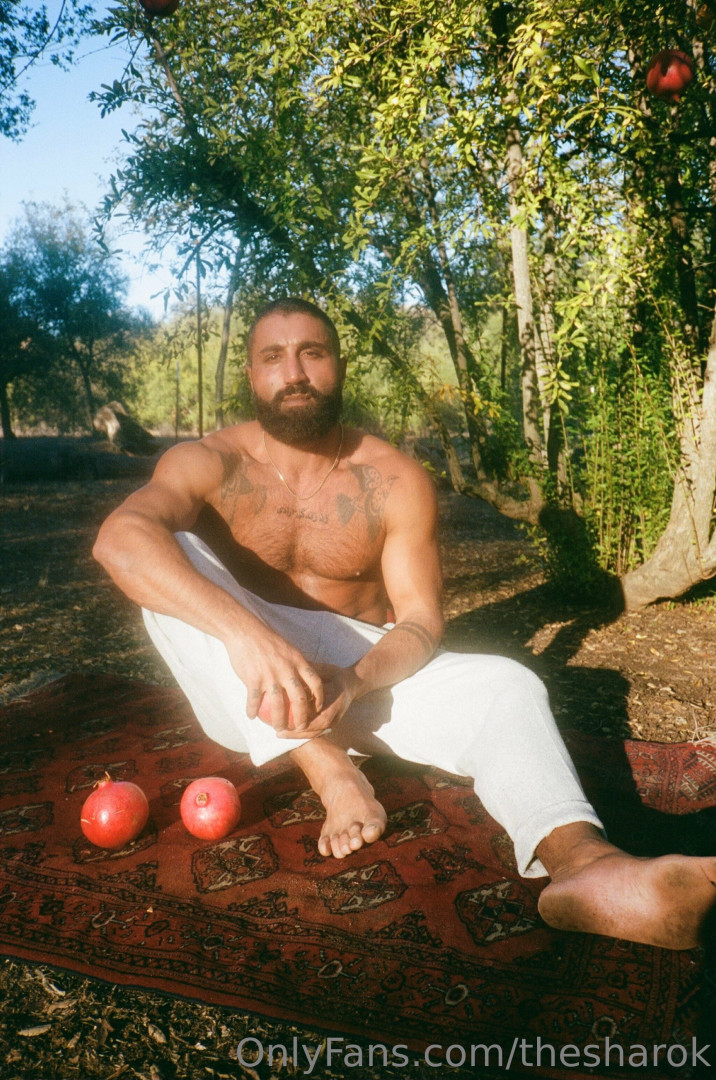 Photo by thesharok published on May 16,2023 20:18:06 - BestThots