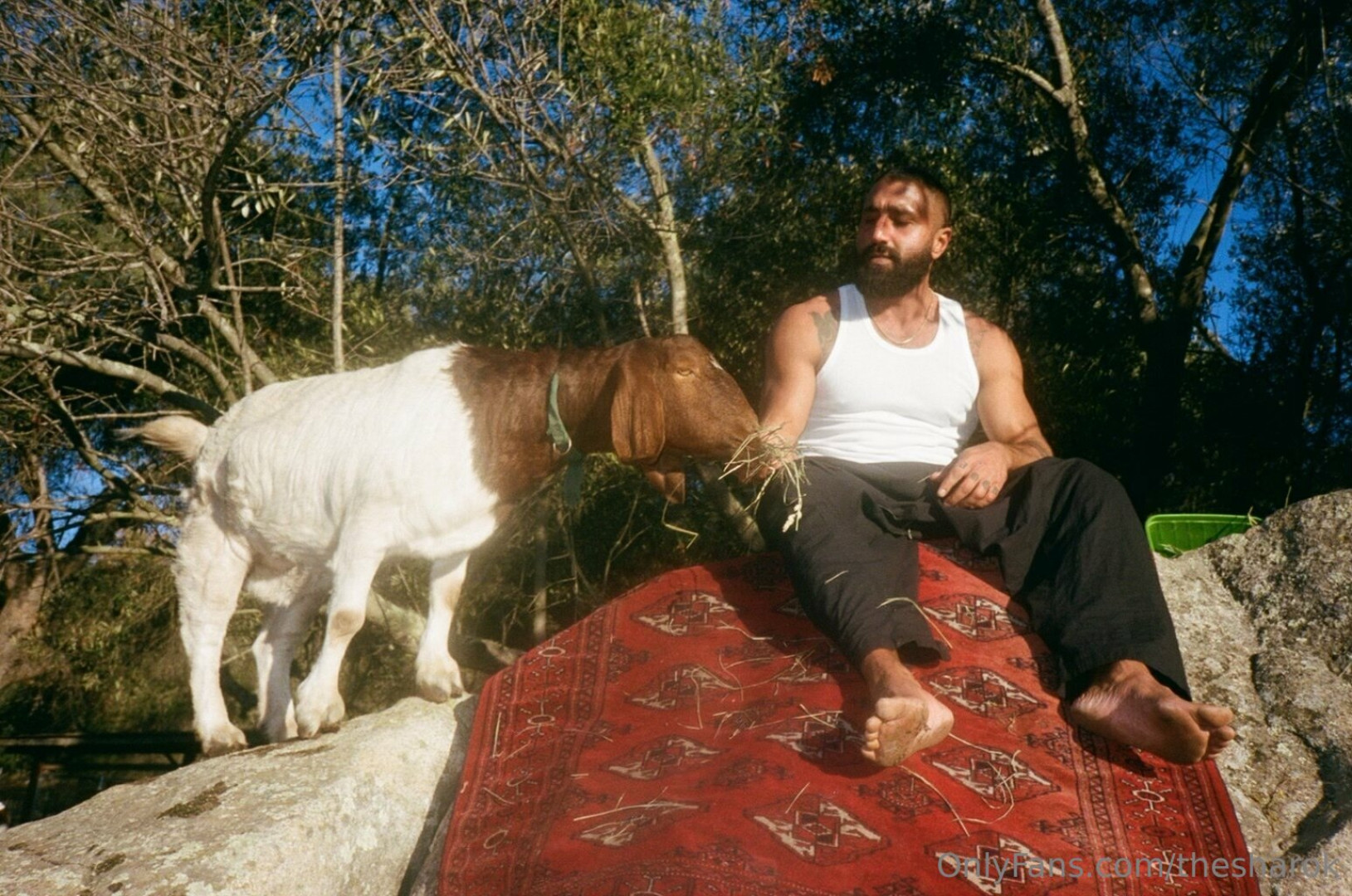 Photo by thesharok published on May 16,2023 20:19:12 - BestThots