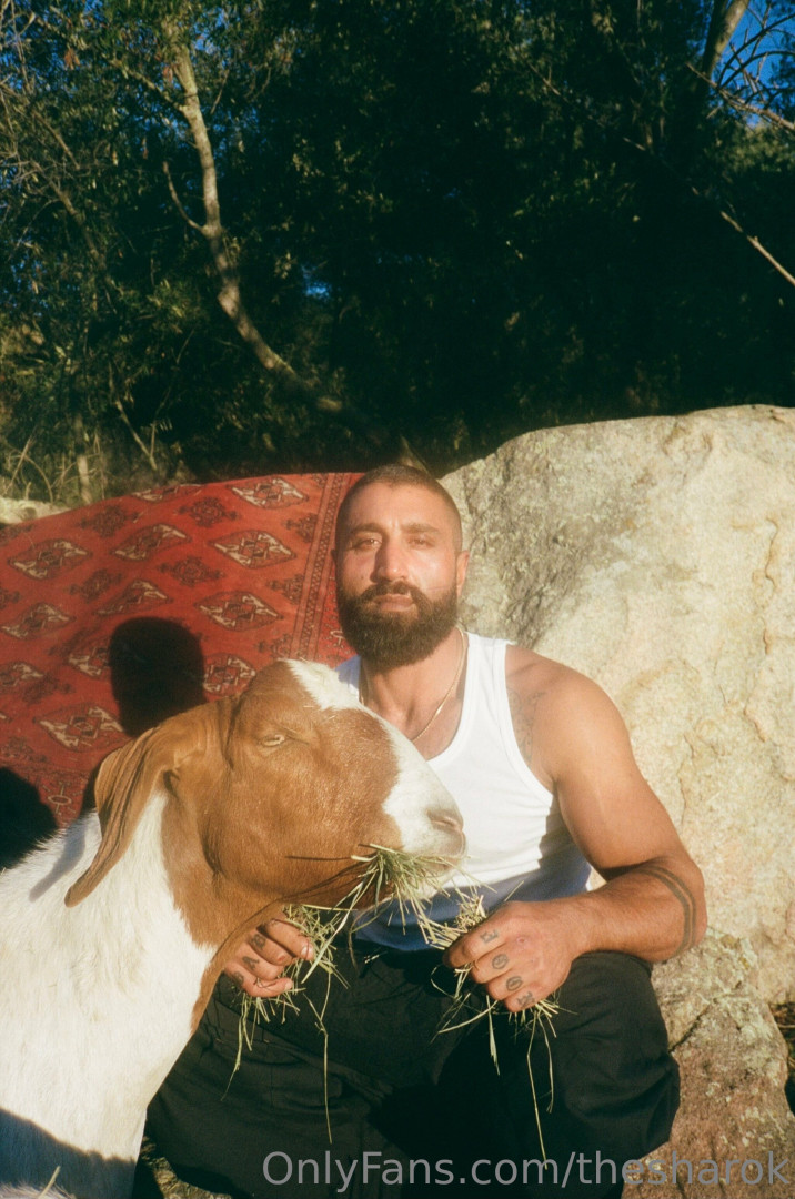 Photo by thesharok published on May 16,2023 20:19:13 - BestThots