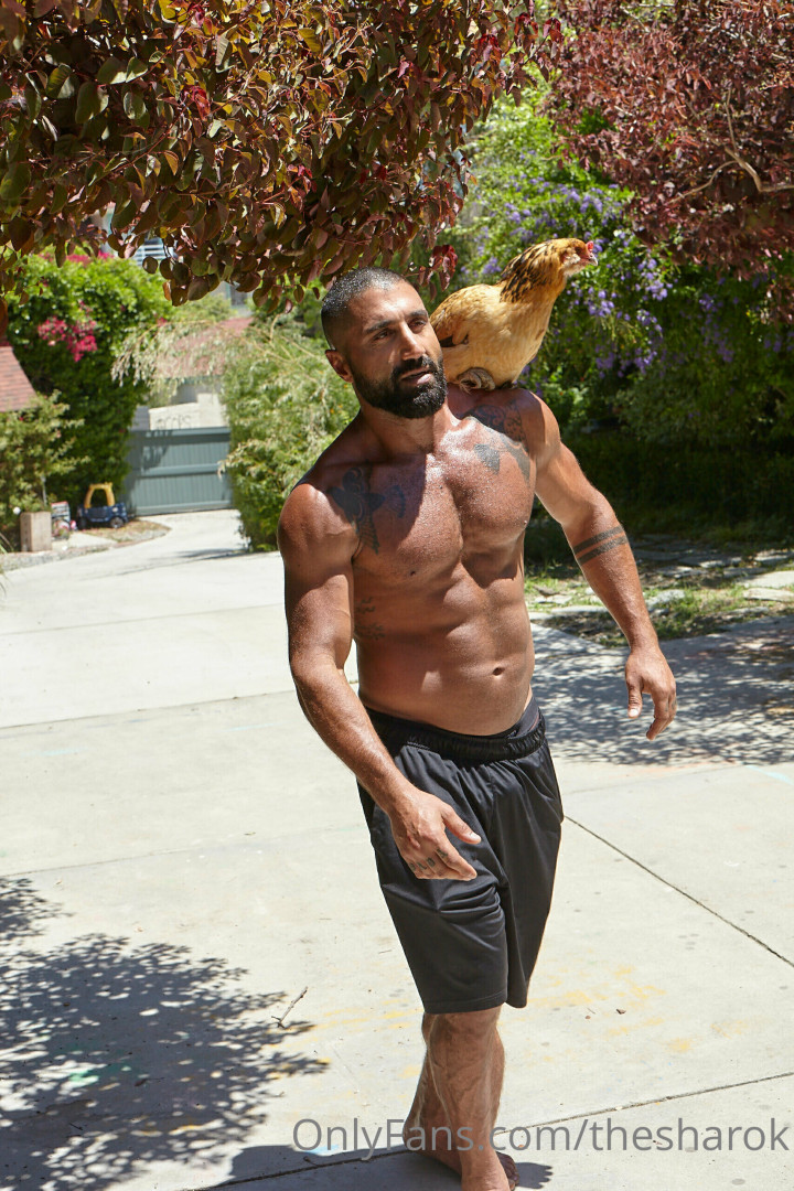 Photo by thesharok published on May 16,2023 20:20:53 - BestThots