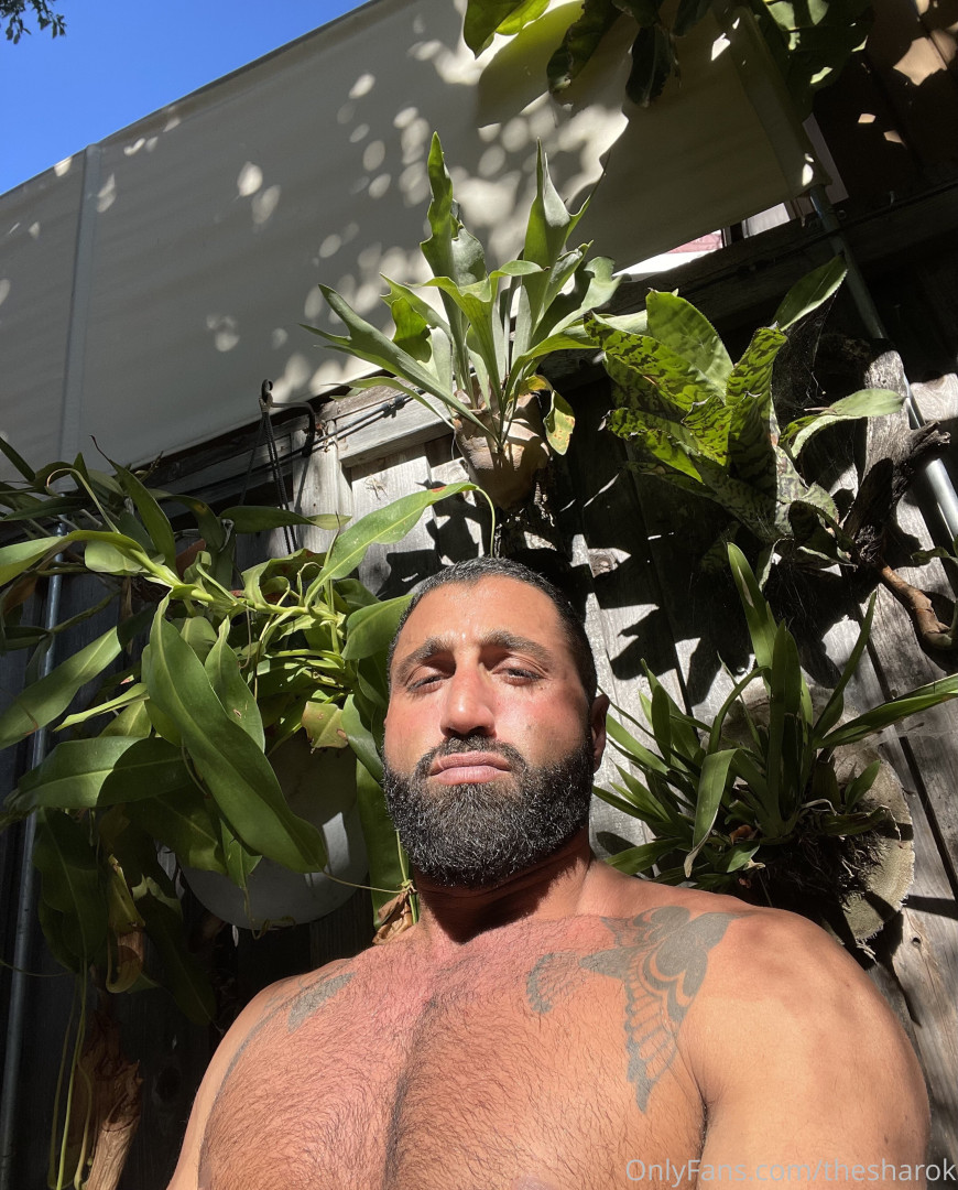 Photo by thesharok published on May 16,2023 20:21:07 - BestThots