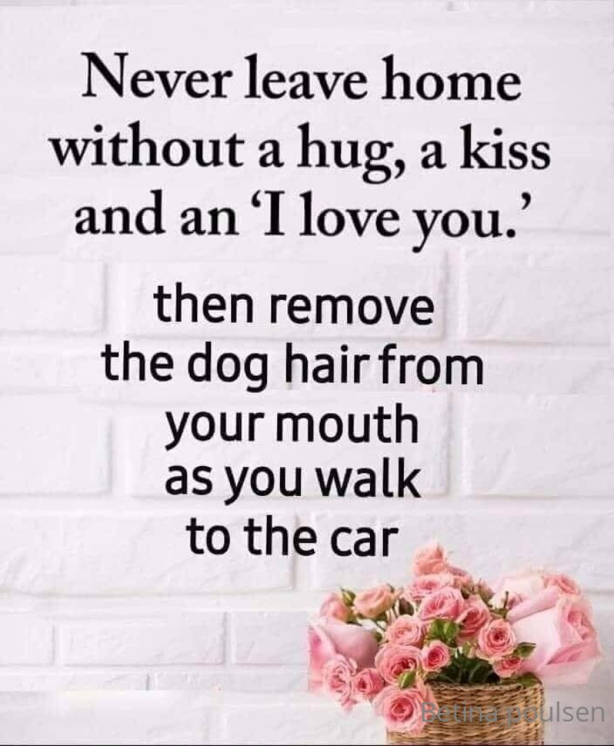 Photo by betina_poulsen published on November 2,2023 08:15:03 - BestThots