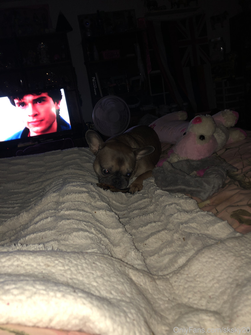 Photo by sksky20 published on June 5,2023 04:35:13 - BestThots