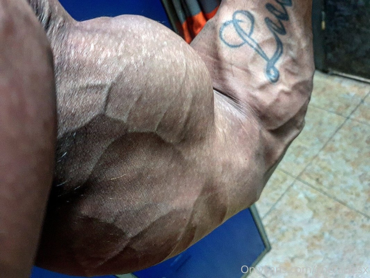 Photo by xheraclesx published on May 15,2023 23:17:49 - BestThots