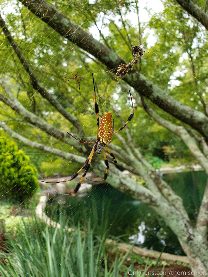 Photo by themischiefs published on May 16,2023 23:33:41 - BestThots