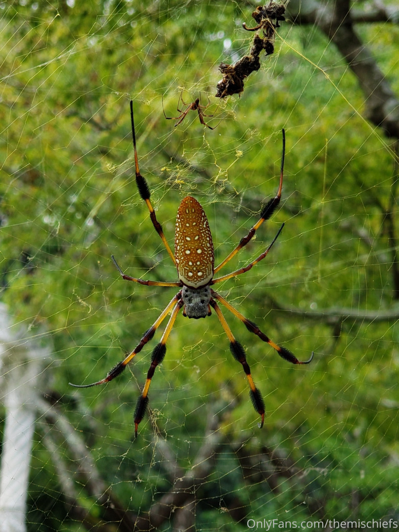 Photo by themischiefs published on May 16,2023 23:40:11 - BestThots