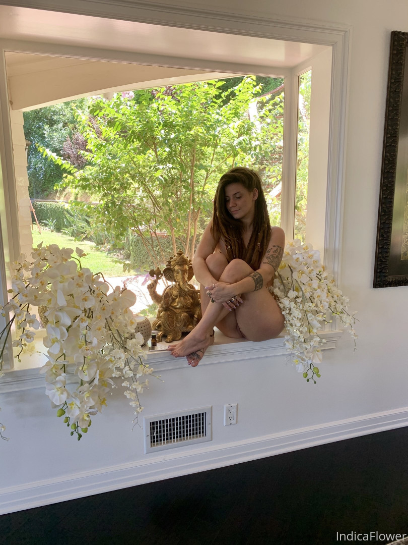 Photo by indicaflower published on August 31,2023 15:21:20 - BestThots