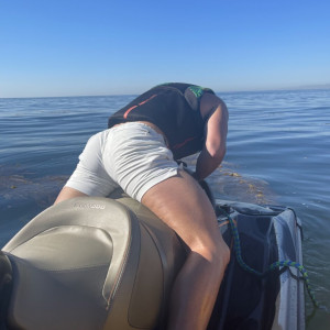 harryjowsey #7256461