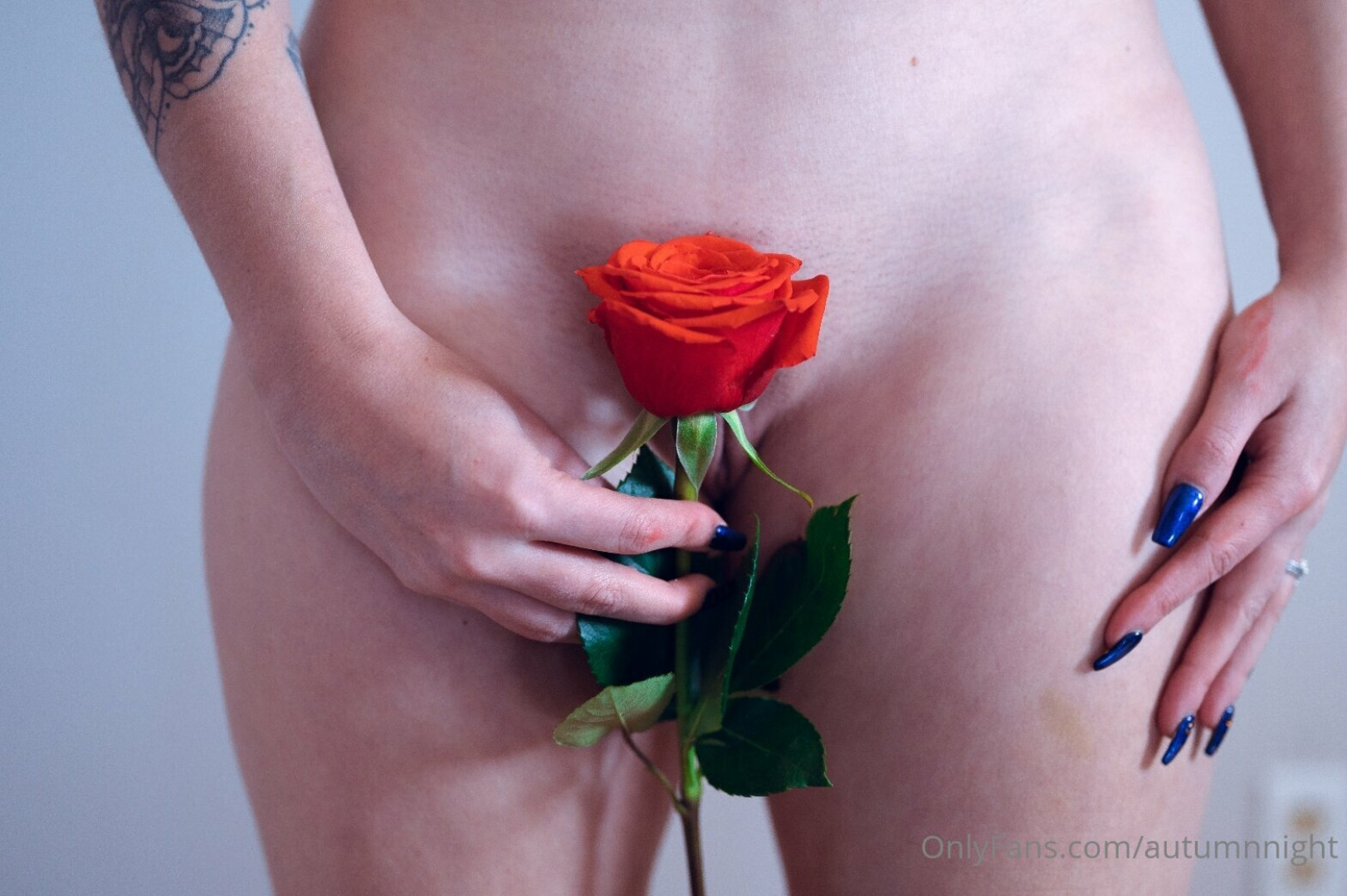 Photo by autumnnight published on November 24,2023 05:02:33 - BestThots